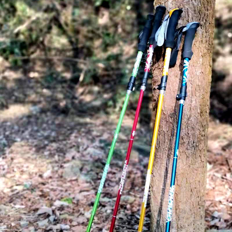 5-Section Foldable Trekking Pole: Lightweight Hiking Stick for Camping, Nordic Walking and Elderly